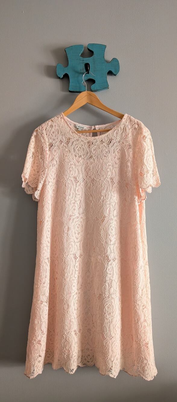 J Peterman Pink Floral Lace Midi Shift Dress Lined Scallop Hem Womens M